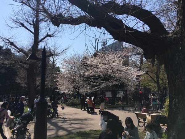 あと、1時間強でからだにいいことweekend終了です！