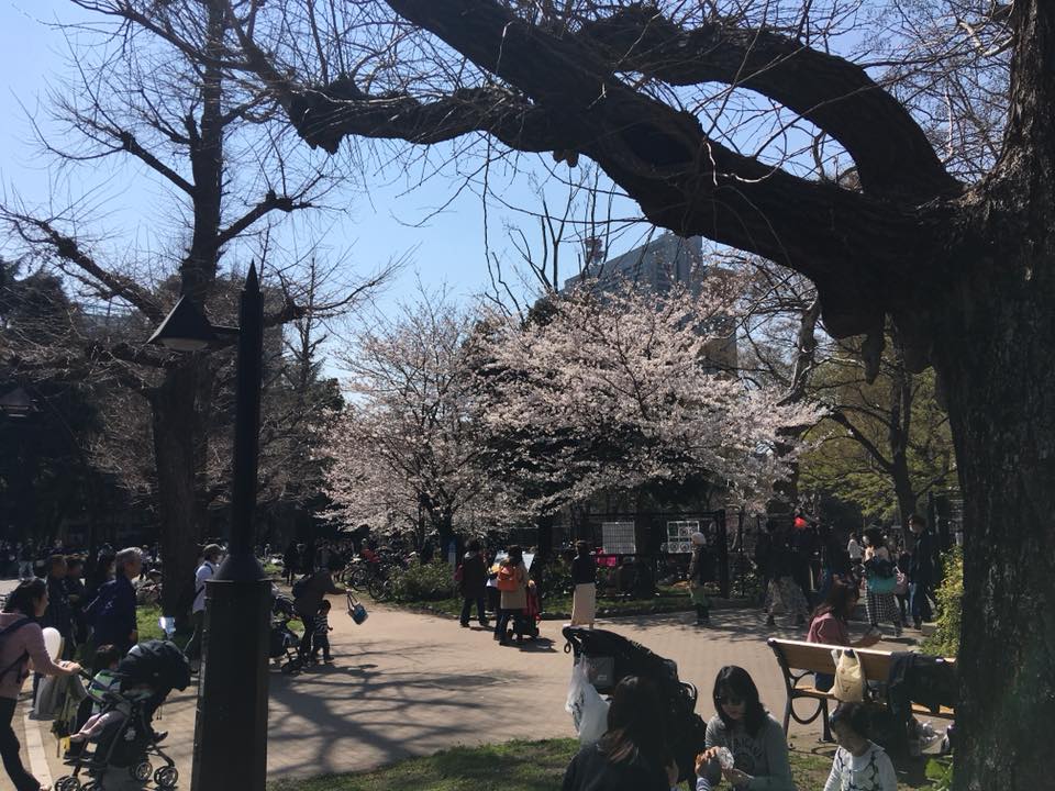 あと、1時間強でからだにいいことweekend終了です！